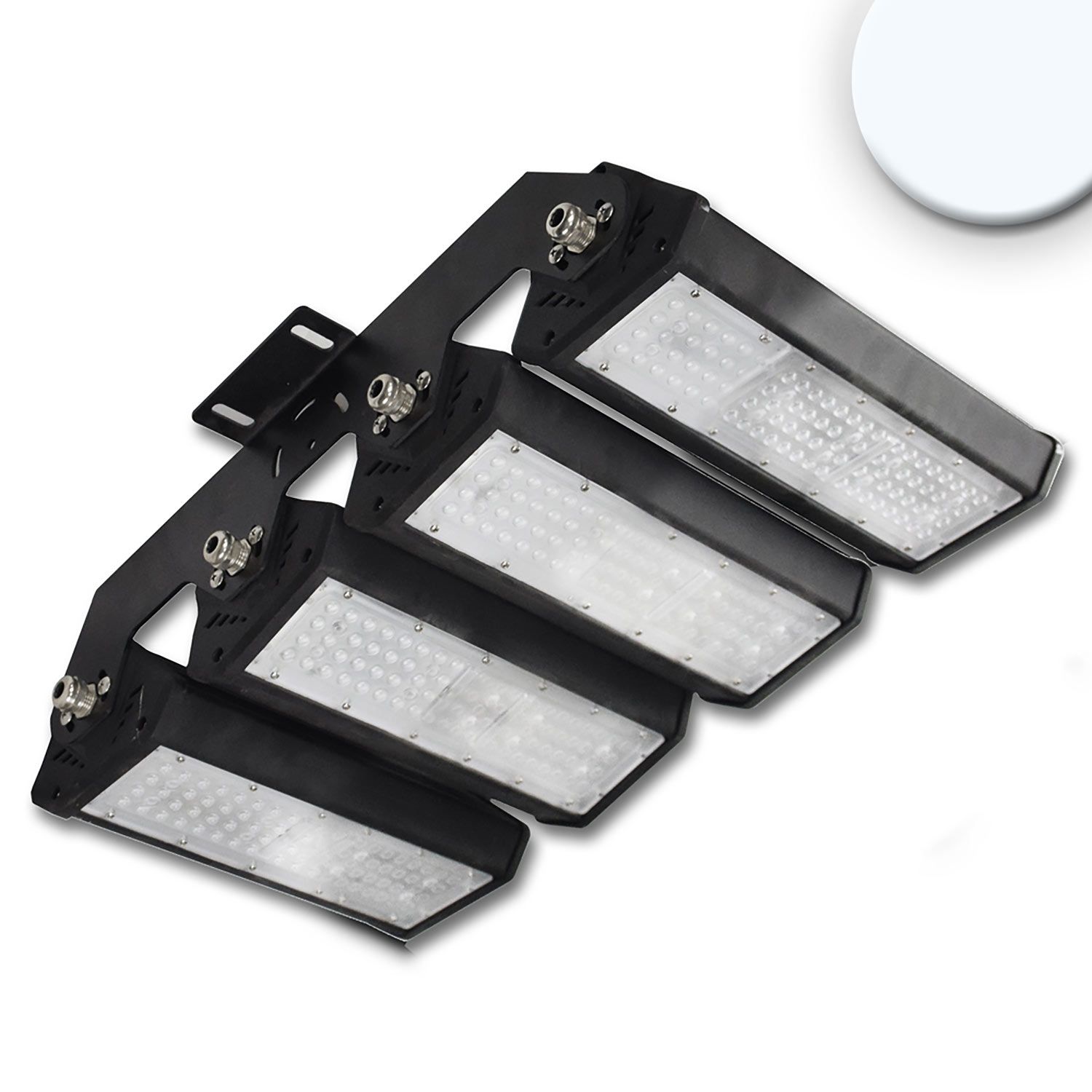 LED floodlight/highbay luminaire LN 4x 50W 30°*70°, IP65, 1-10V dimmable, cold white