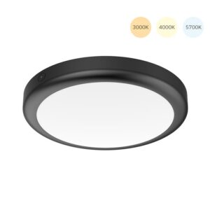 IP65 Ceiling Light  Ø30cm 15W 3000K/4000K/5700K 1350lm Black