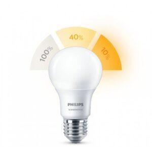 Philips LED bulb E27 8W 806lm 2700K SceneSwitch 3-StepDim