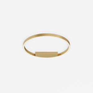 Ceiling lamp Rim 60cm CCT DIM Brass