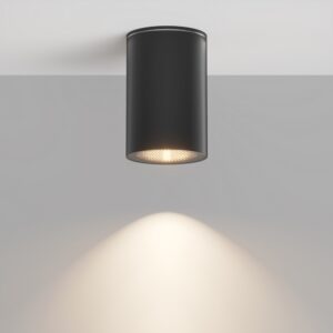 Ceiling lamp Roll