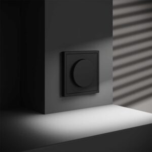 Lülitid ja kontrollerid